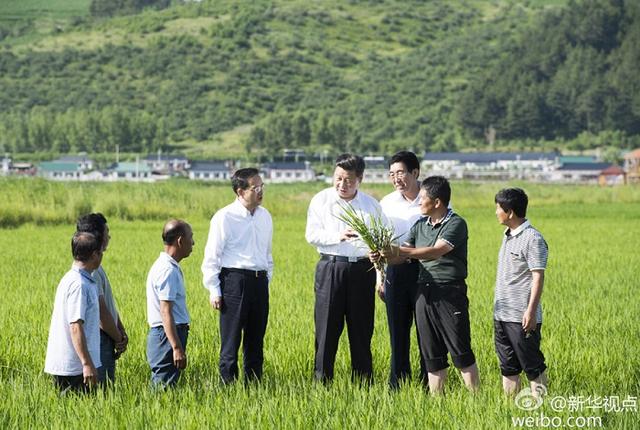 “平语”近人——从用典读懂总书记的执政智慧